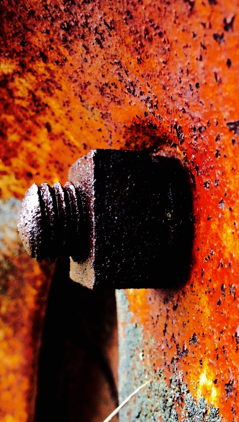 Rat's Ass Review Spring-Summer 2016 Issue by Brian Michael Barbeito