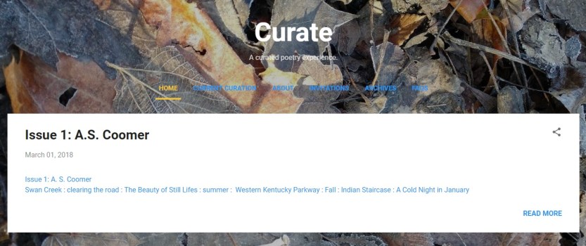 Curate, Issue 1, screenshot
