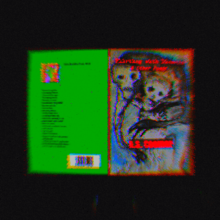 Flirting with Disaster gif 3.gif